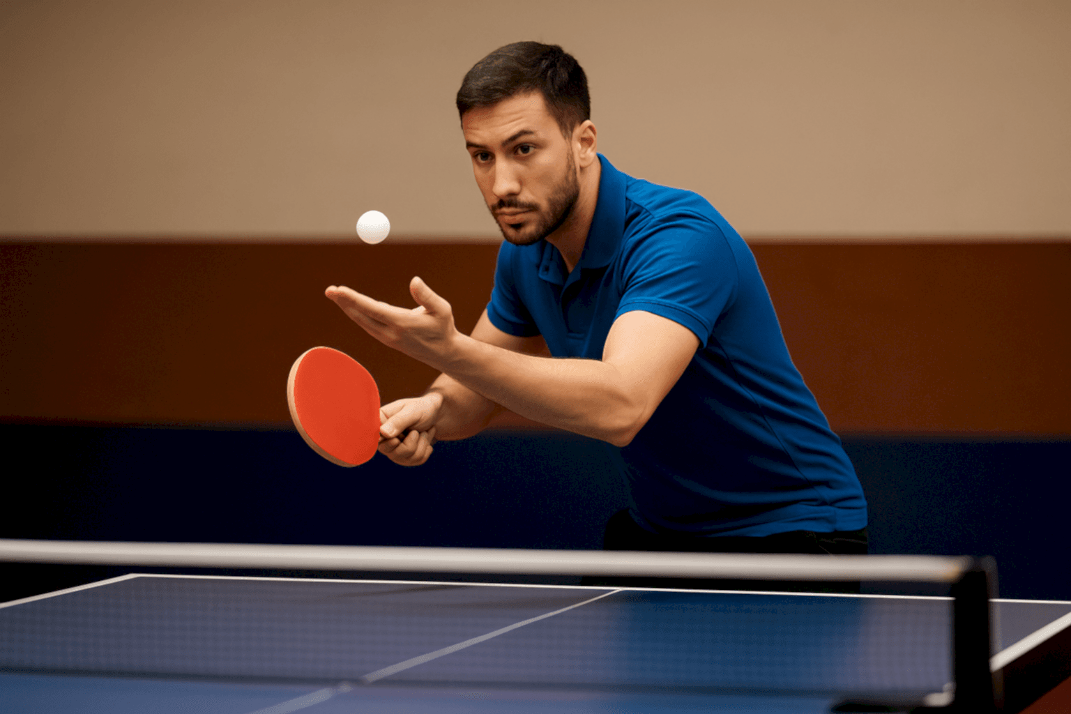 Servis Çalışmaları